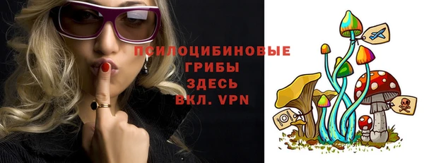 гашик Михайлов