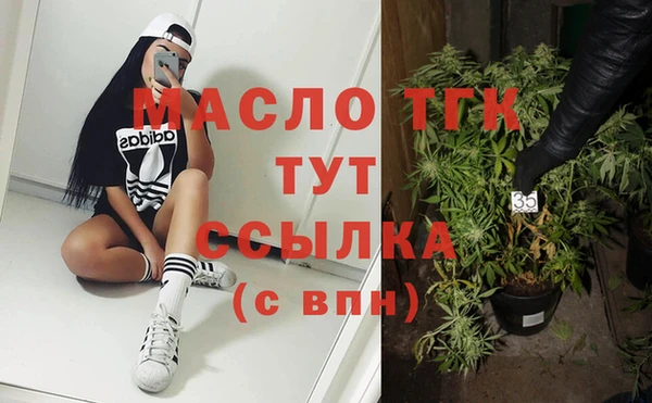гашик Михайлов