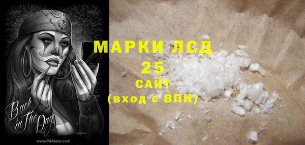 гашик Михайлов